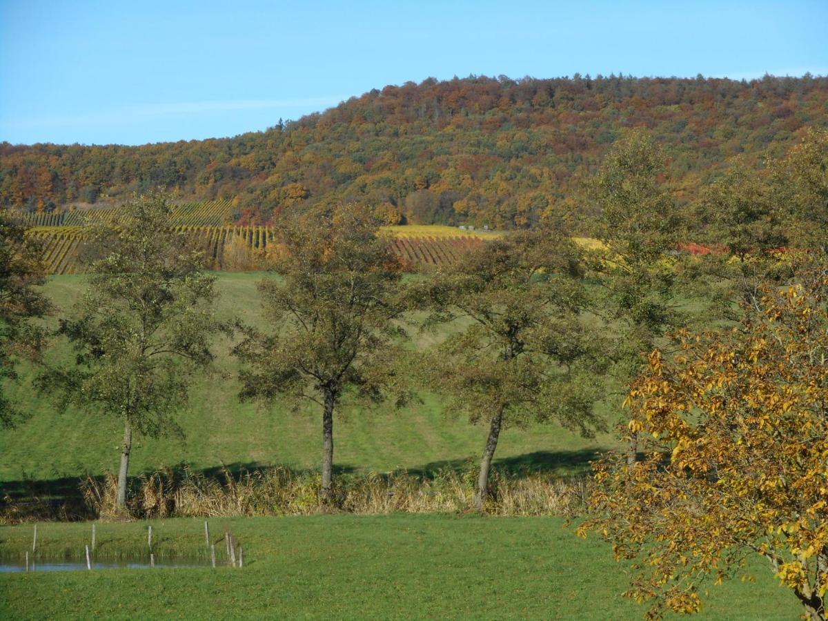 Pension Zur Traube 3 Sterne Oberschwarzach Extérieur photo