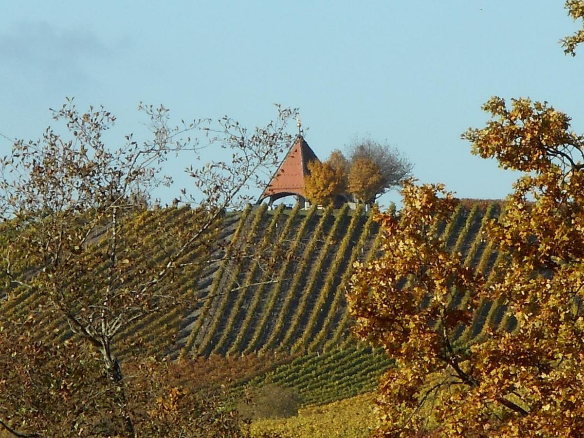 Pension Zur Traube 3 Sterne Oberschwarzach Extérieur photo